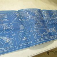 IMG_1494-web.jpg