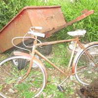 img_5414-web.jpg