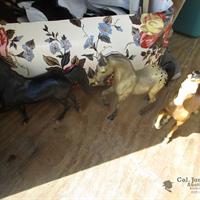 img_4919-web.jpg