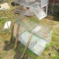 img_6017-web.jpg