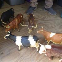 img_4920-web.jpg