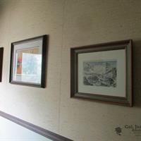 img_4526-web.jpg