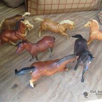 img_4926-web.jpg