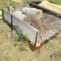 img_6025-web.jpg