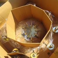 img_7849-web.jpg