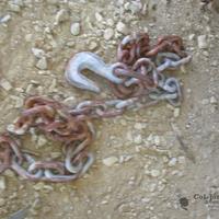 img_2416-web.jpg