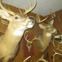 img_1324-web.jpg