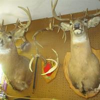 img_1325-web.jpg
