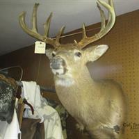 img_1326-web.jpg
