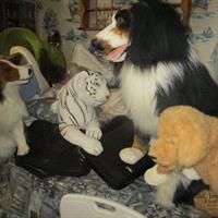 img_4722-web.jpg