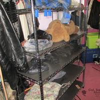 img_4723-web.jpg