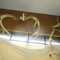 img_1328-web.jpg