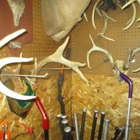 img_1330-web.jpg