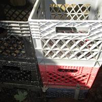 img_2425-web.jpg