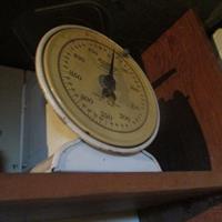img_0861-web.jpg