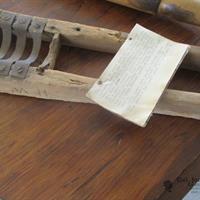 img_7453-web.jpg