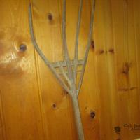 img_6344-web.jpg