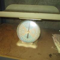 img_6353-web.jpg