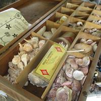 img_6699-web.jpg