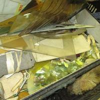 img_7216-web.jpg