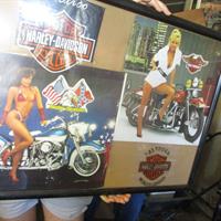 img_2434-web.jpg