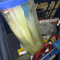 img_2503-web.jpg