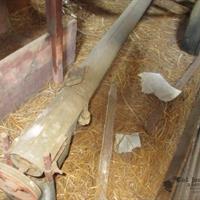 img_6596-web.jpg