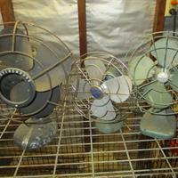 img_8448-web.jpg