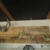 img_1354-web.jpg