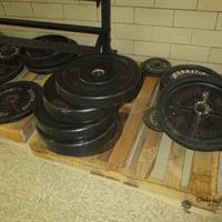 img_4976-web.jpg