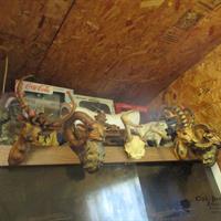 img_4752-web.jpg