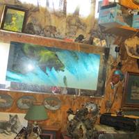 img_4755-web.jpg