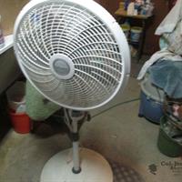 img_0986-web.jpg