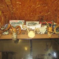 img_4757-web.jpg