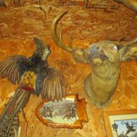 img_4760-web.jpg