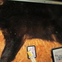 img_4765-web.jpg
