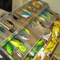img_5876-web.jpg