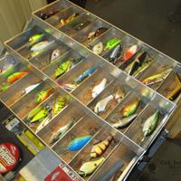 img_5877-web.jpg